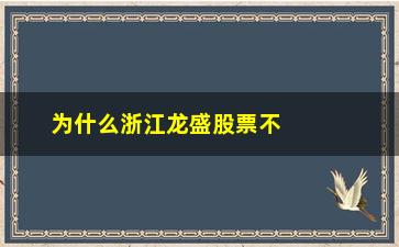 “为什么浙江龙盛股票不能买